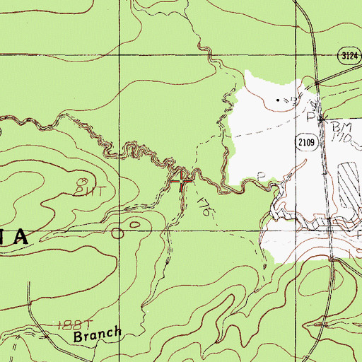 Topographic Map of Long Prairie Branch, TX