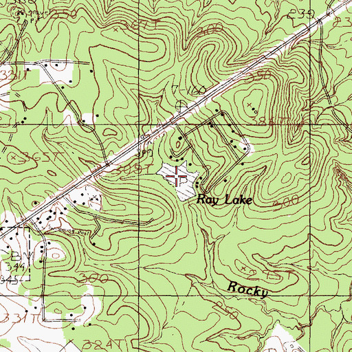 Topographic Map of Ray Lake, TX