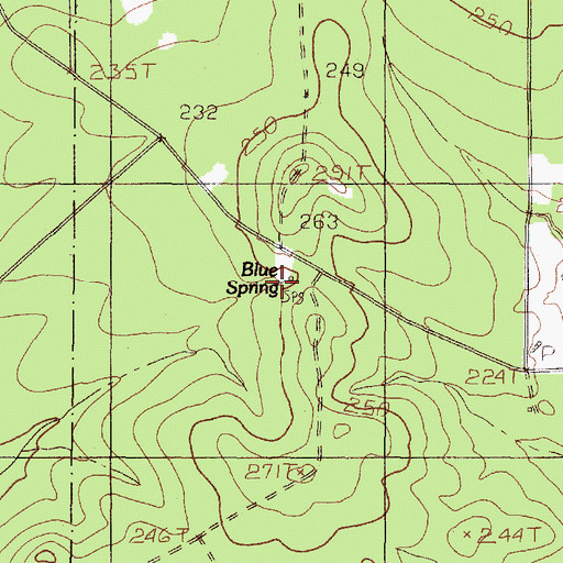 Topographic Map of Blue Spring, TX