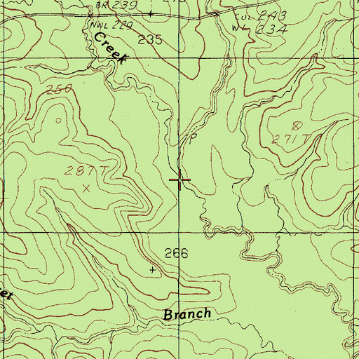 Topographic Map of Wash Branch, TX
