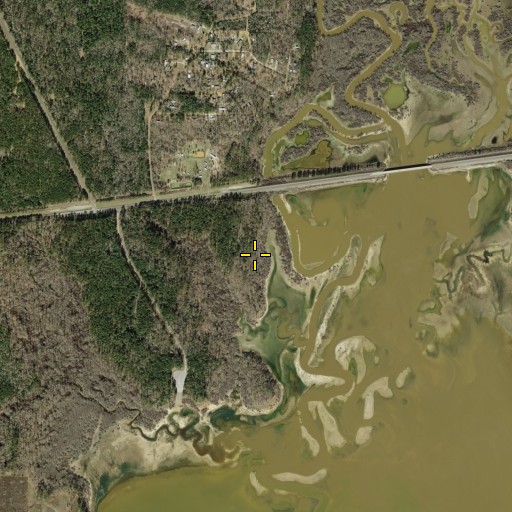 Aerial/Satellite Image of Ralf T McAlister, TX