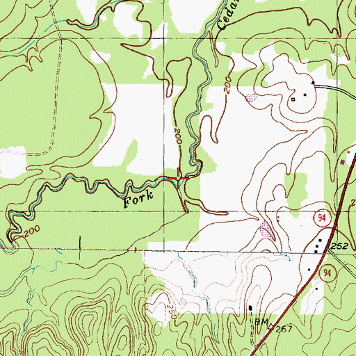 Topographic Map of White Branch, TX