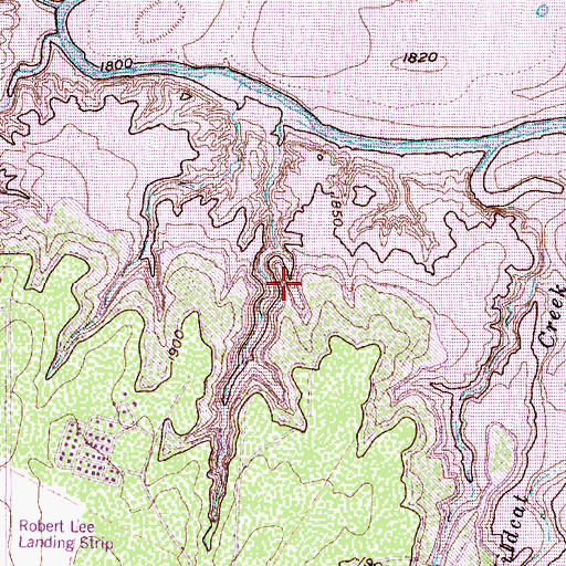 Topographic Map of Coke County, TX