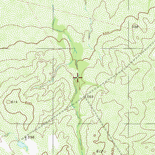 Topographic Map of Webb County, TX