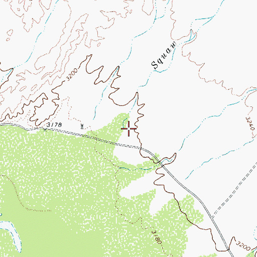 Topographic Map of Squaw Creek, TX