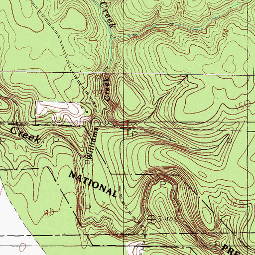 Topographic Map of Big Thicket Menard Creek, TX