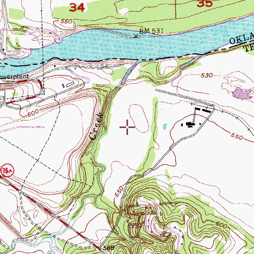 Topographic Map of Ray, TX