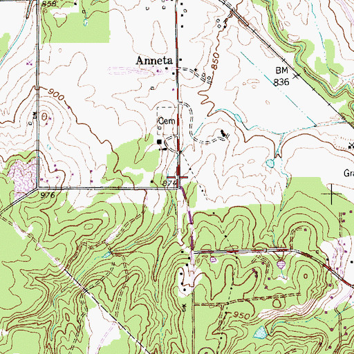 Topographic Map of Annetta, TX