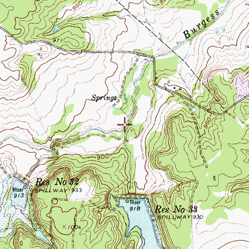 Topographic Map of Hale Branch, TX