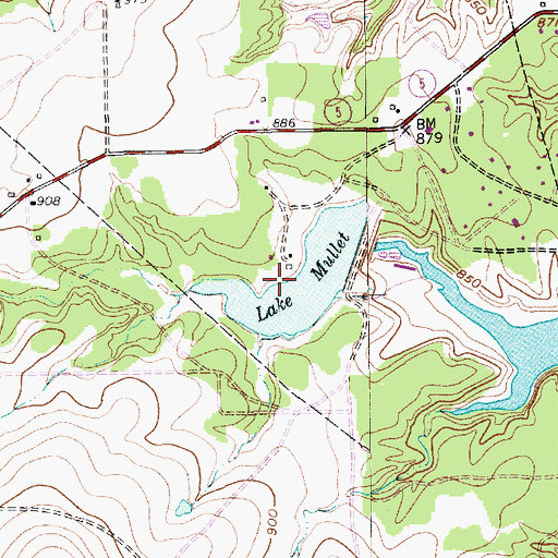 Topographic Map of Lake Mullet, TX