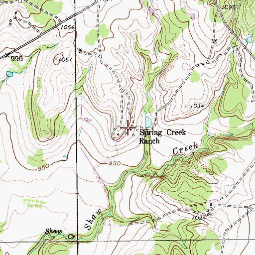 Topographic Map of Spring Creek Ranch, TX
