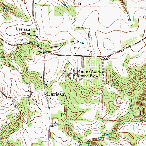 Topographic Map of Mount Selman Speed Bowl, TX