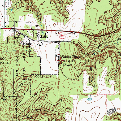Topographic Map of Rusk Lookout Tower, TX