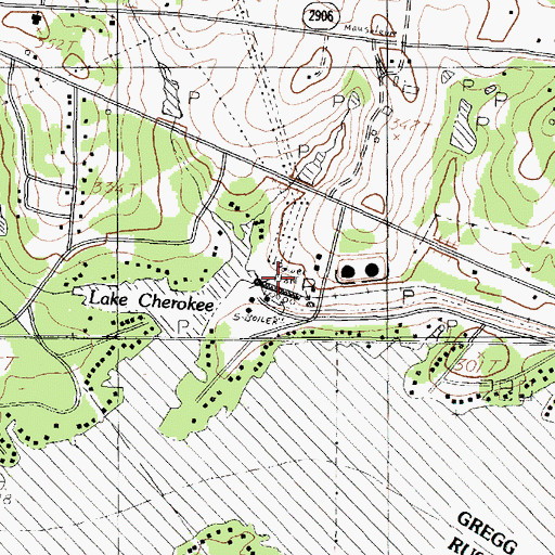 Topographic Map of Knox Lee Powerplant, TX