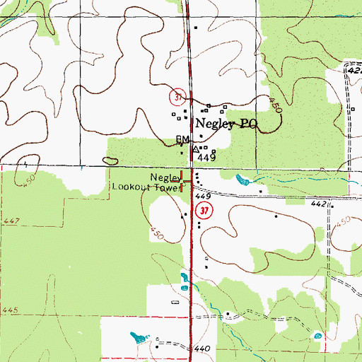 Topographic Map of Negley Lookout Tower, TX