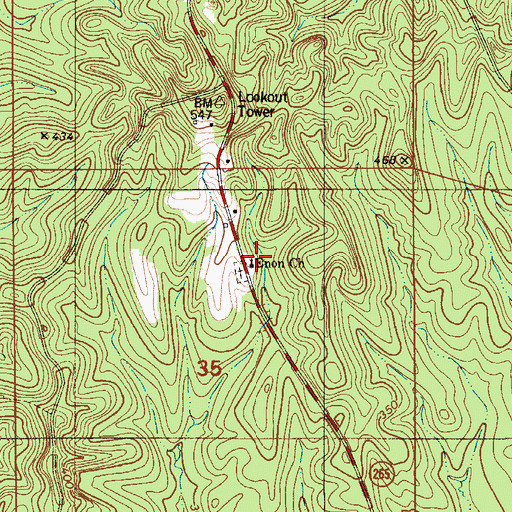 Topographic Map of Enon Church, AL