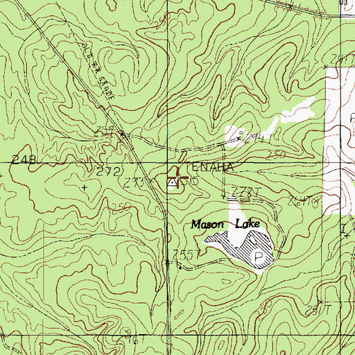 Topographic Map of Tenaha Lookout Tower, TX