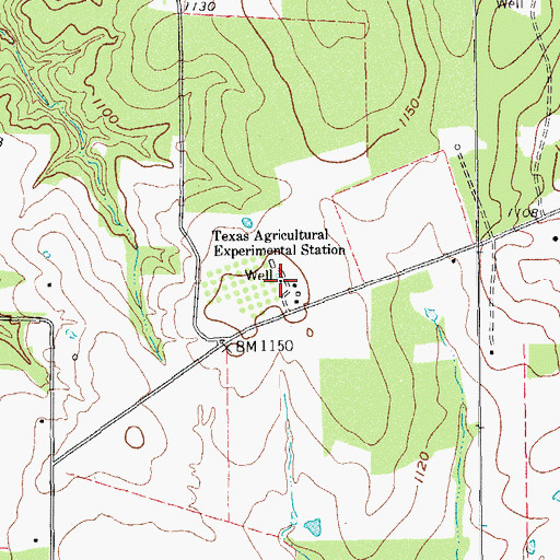 Topographic Map of Texas Agricultural Experimental Station, TX