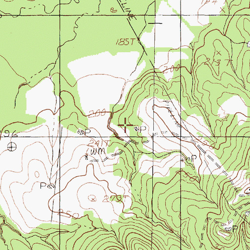 Topographic Map of Peach Tree Village Cemetery, TX