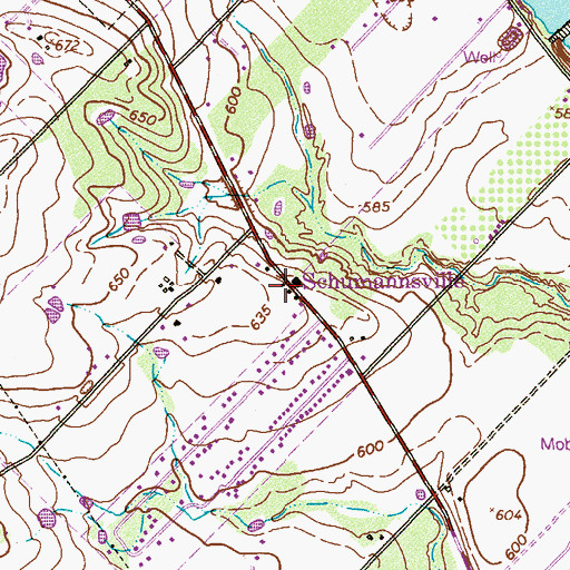Topographic Map of Schumannsville, TX