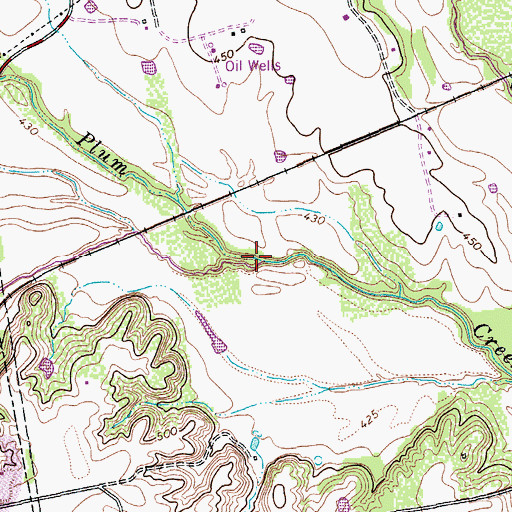 Topographic Map of Town Branch, TX