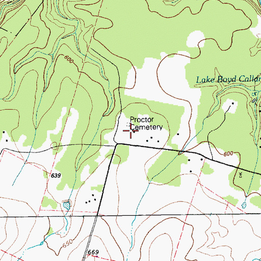 Topographic Map of Proctor Cemetery, TX