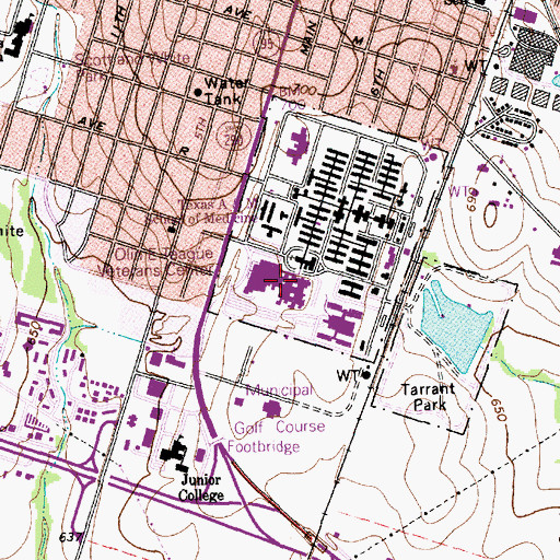 Topographic Map of Olin E Teague Veterans Center, TX