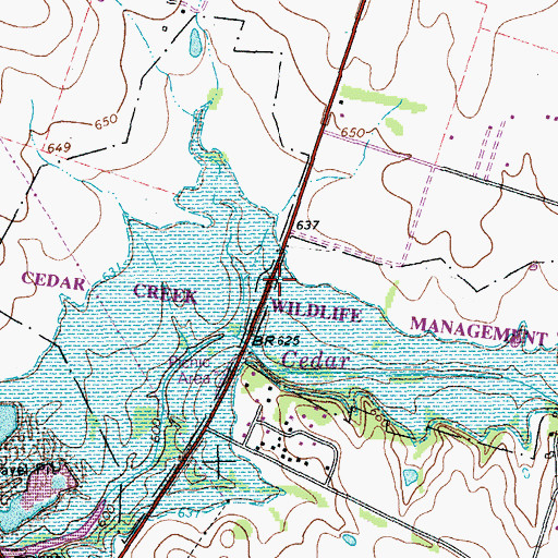 Topographic Map of Cedar Creek Wildlife Management Area, TX