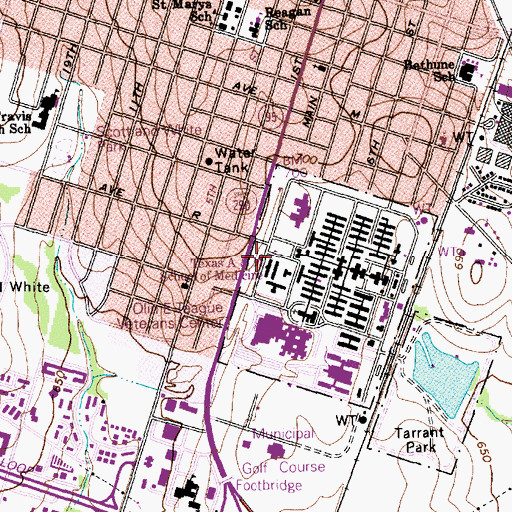 Topographic Map of Texas A and M School of Medicine, TX