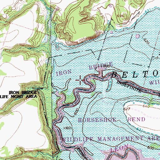 Topographic Map of Iron Bridge Wildlife Management Area, TX