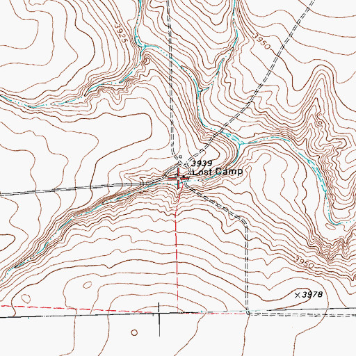 Topographic Map of Lost Camp, TX
