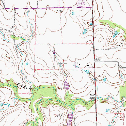 Topographic Map of KNTU-FM (Denton), TX