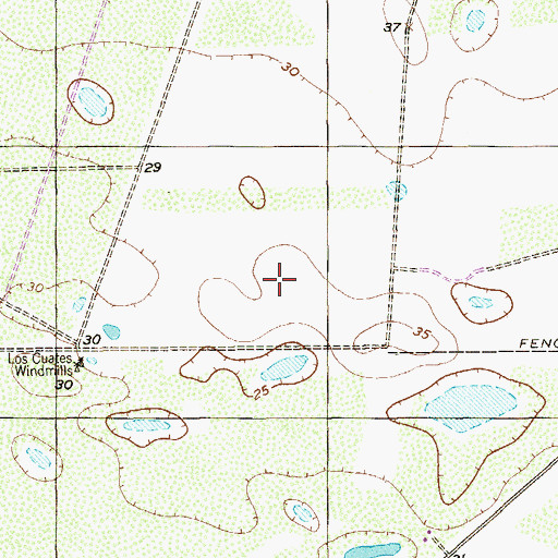 Topographic Map of KSOX-FM (Raymondville), TX