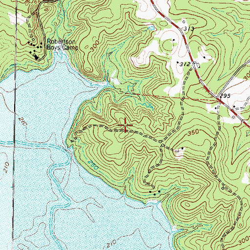 Topographic Map of Mc Kenzie Field, TX