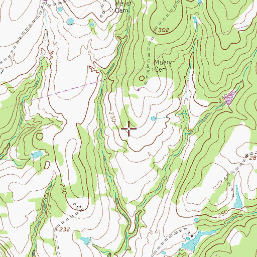 Topographic Map of Traylor Tick Farm Airport, TX
