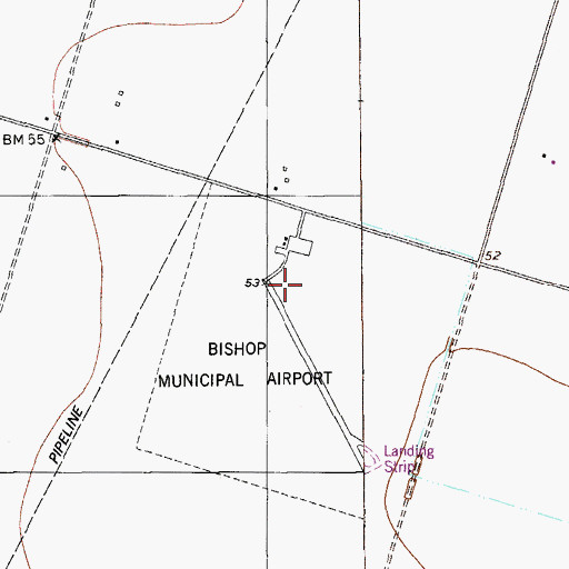 Topographic Map of Bishop Municipal Airport, TX