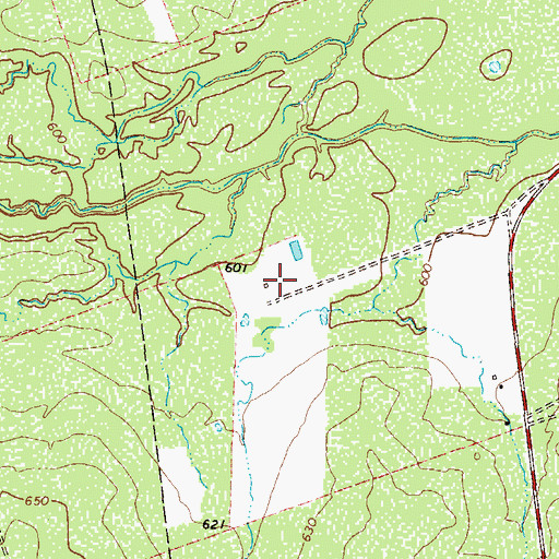 Topographic Map of Picosa Ranch Airport, TX