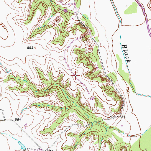 Topographic Map of Cowpatch Airport (historical), TX