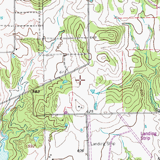 Topographic Map of Shiloh Airport (historical), TX