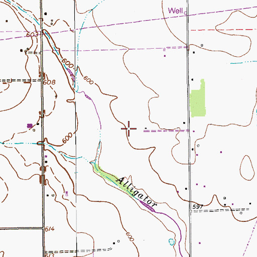 Topographic Map of Moltz Airport, TX