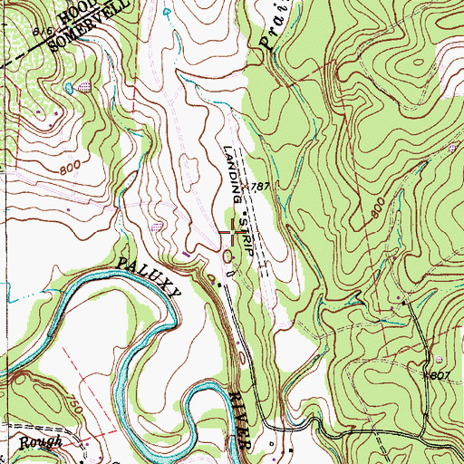 Topographic Map of Running M Ranch Airport, TX