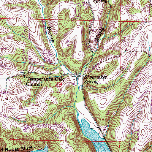 Topographic Map of Shoemaker Springs (historical), AL