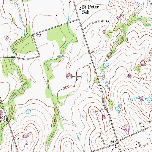 Topographic Map of Flying C Ranch Airport (historical), TX