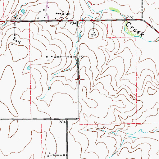 Topographic Map of Flying S Farm Airport, TX