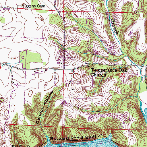 Topographic Map of Temperance Oak School (historical), AL