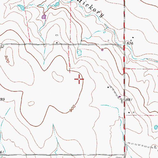 Topographic Map of Bird Dog Airfield, TX