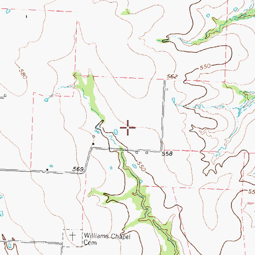 Topographic Map of Weedfalls Airport, TX