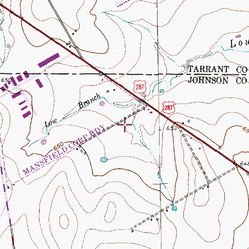 Topographic Map of Flying L Airpark, TX