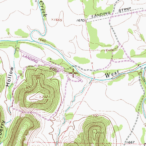 Topographic Map of Idlewild Airport, TX