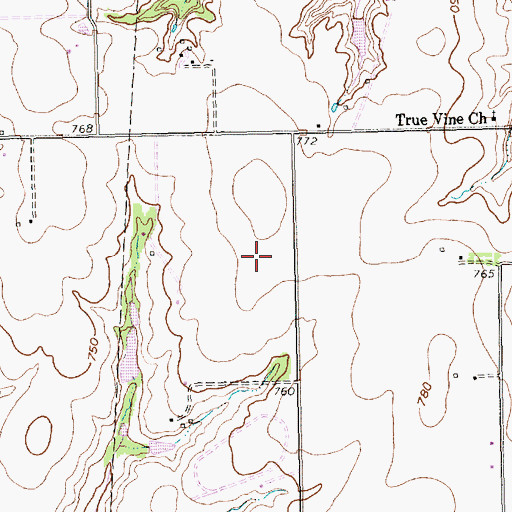 Topographic Map of Eagle's Nest Estates Airport, TX